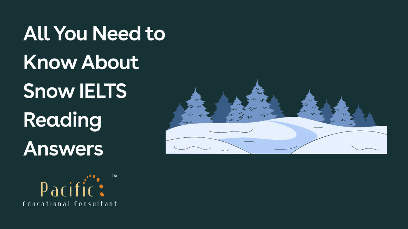 All You Need to Know About Snow Reading Answers